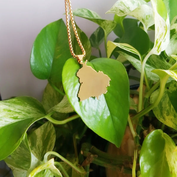 Punjab Map Necklace HNS Studio Canada