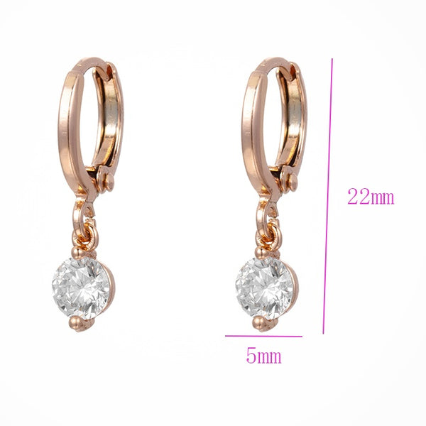Small Dangle Hoop earrings