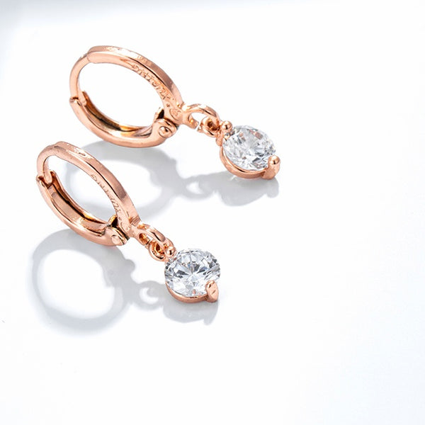 Small Dangle Hoop earrings