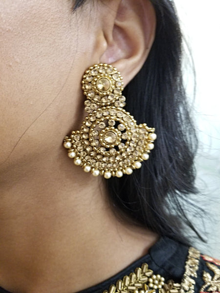 Exquisite Earrings and Tikka Set Adorned With Champagne Pearls - HNS Studio