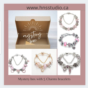 Mystery Jewelry Charm Bracelets Box