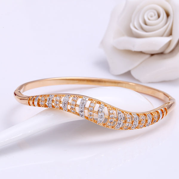 18K Gold Plated Cubic Zircon Bangle - HNS Studio